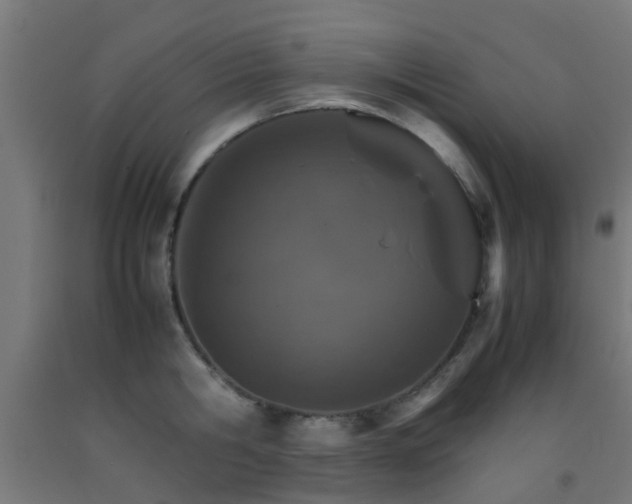 X0000093150806200709261444