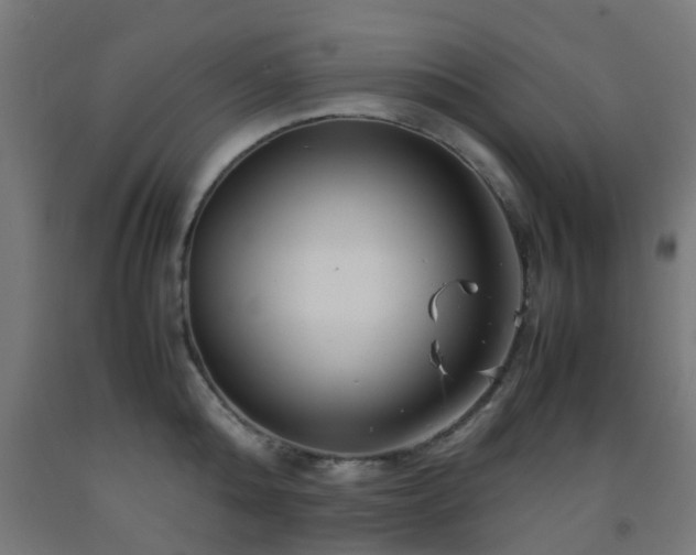 X0000093150808200709261444