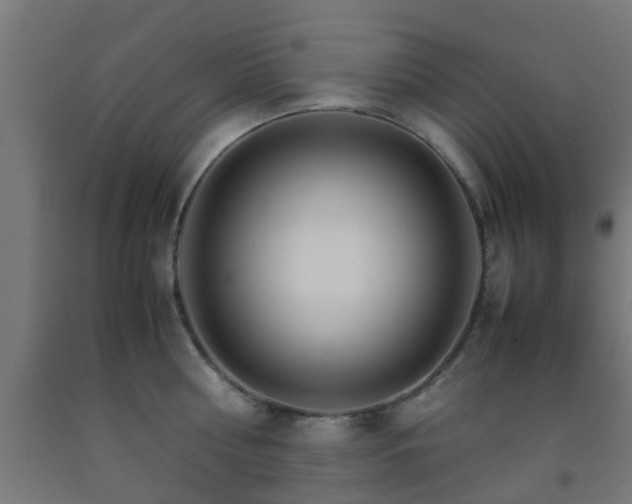 X0000093150810200709261444