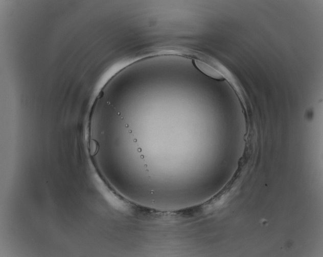 X0000093150811200709261444