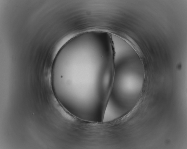 X0000093150812200709261444