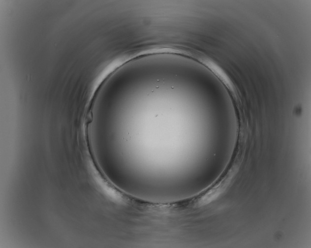 X0000093150813200709261444