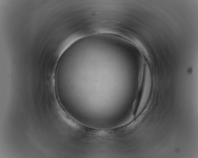 X0000093150814200709261444