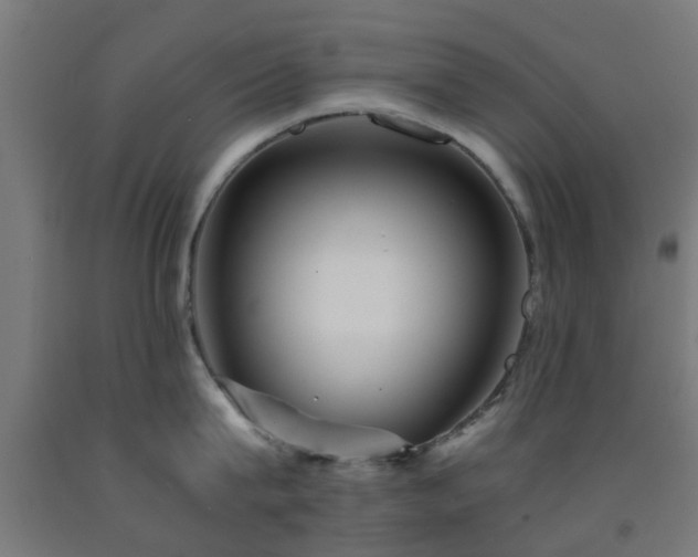 X0000093150815200709261444