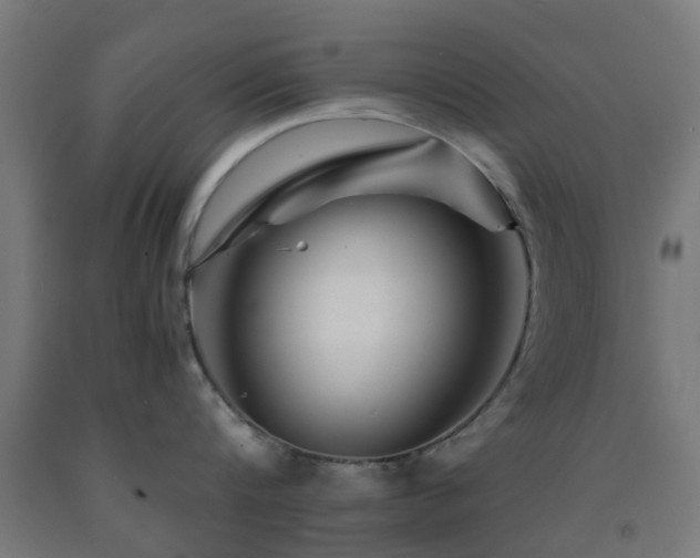 X0000093150816200709261444