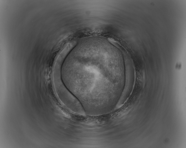 X0000093150818200709261443