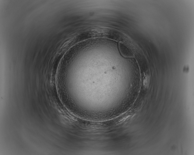 X0000093150819200709261443