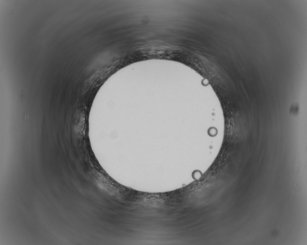 X0000093150820200709261443