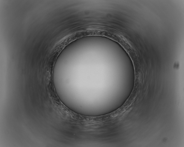 X0000093150821200709261443