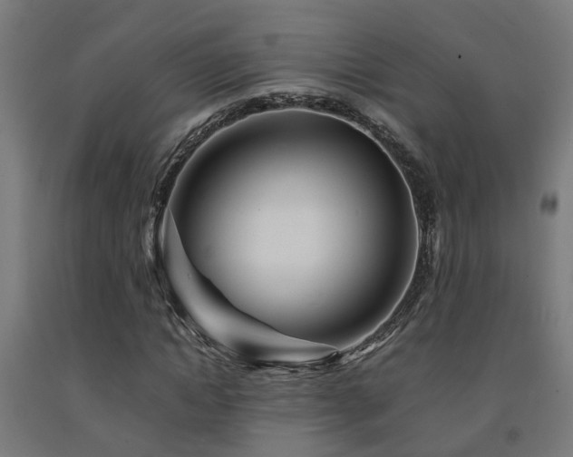 X0000093150822200709261443