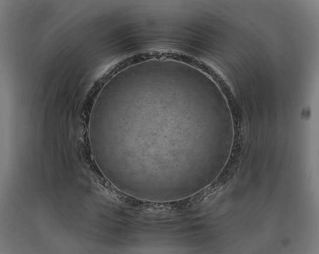 X0000093150823200709261443
