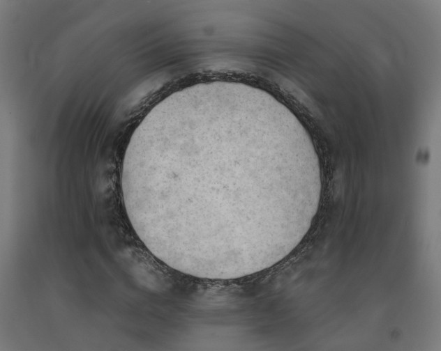 X0000093150824200709261443