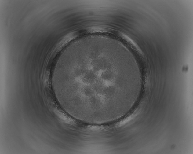 X0000093150825200709261443