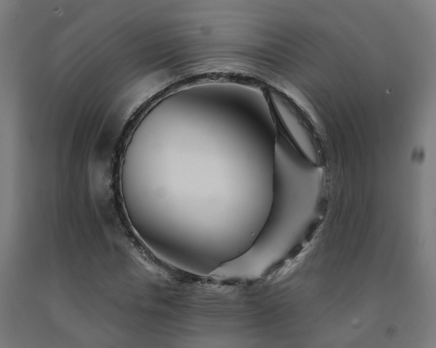X0000093150826200709261443