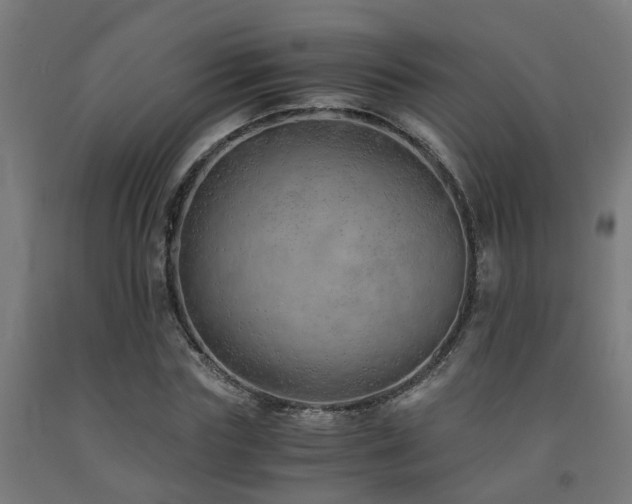 X0000093150827200709261443