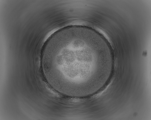 X0000093150829200709261443