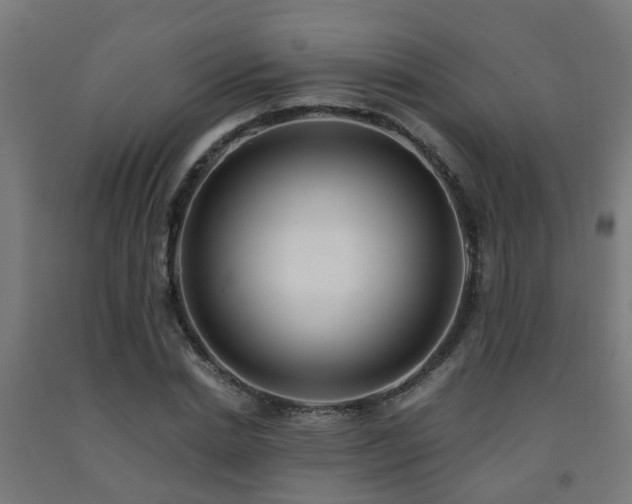 X0000093150830200709261443