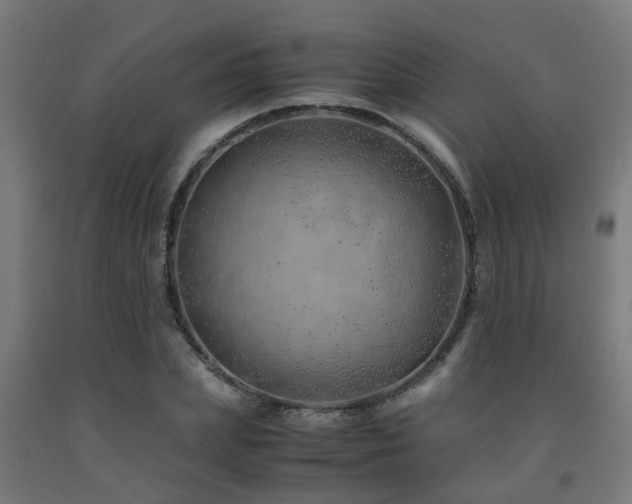 X0000093150831200709261443