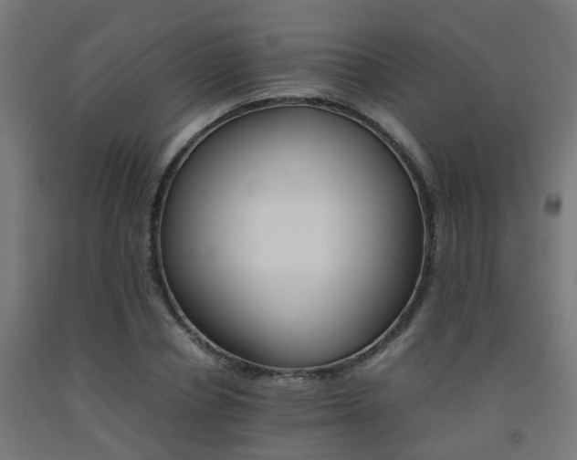 X0000093150834200709261443