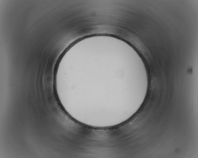 X0000093150836200709261443