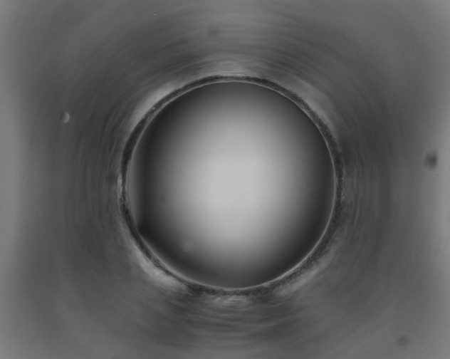 X0000093150837200709261443