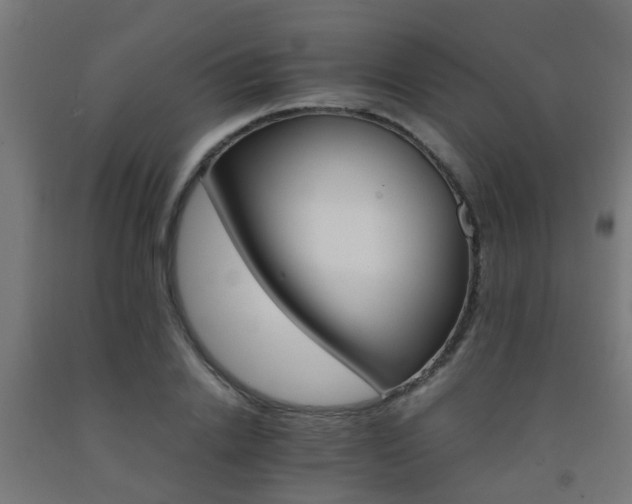 X0000093150838200709261443