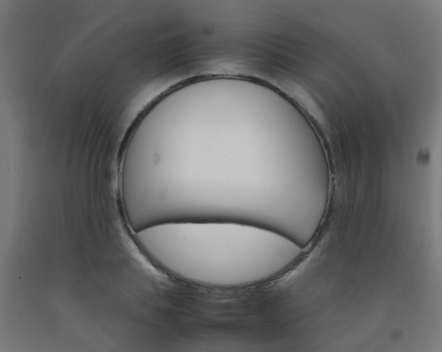 X0000093150839200709261443