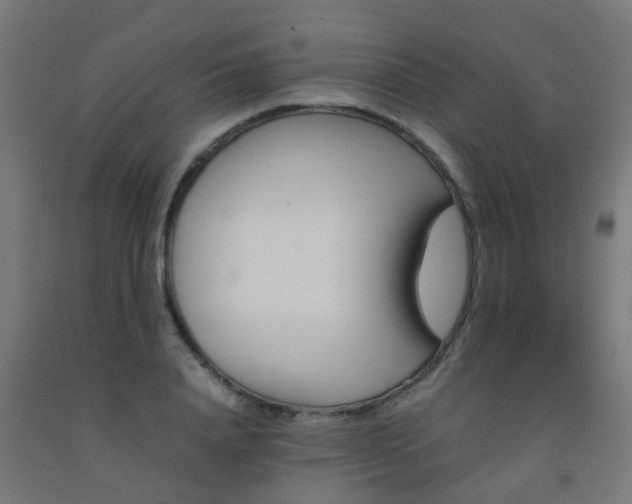 X0000093150840200709261444