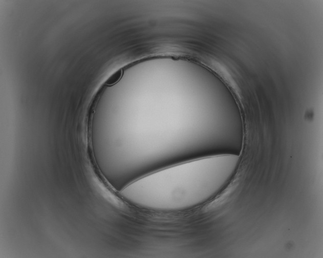 X0000093150843200709261444