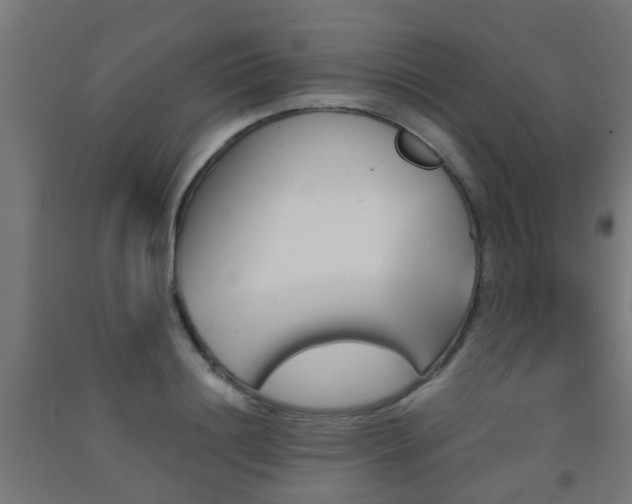 X0000093150844200709261444