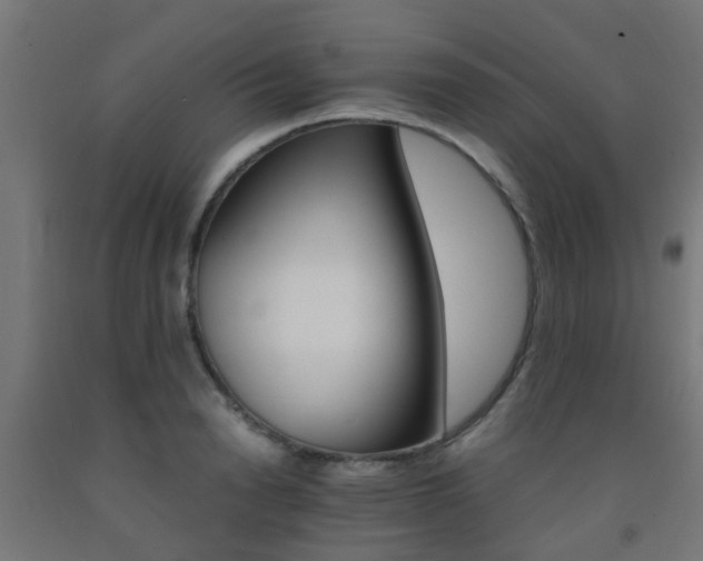 X0000093150846200709261444