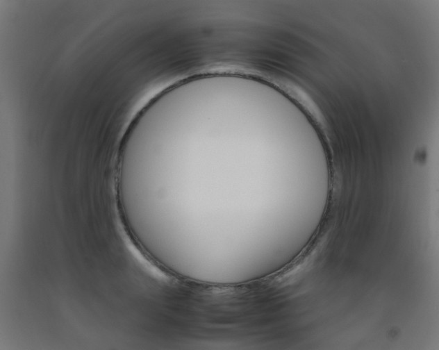 X0000093150847200709261444
