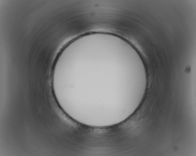 X0000093150848200709261444