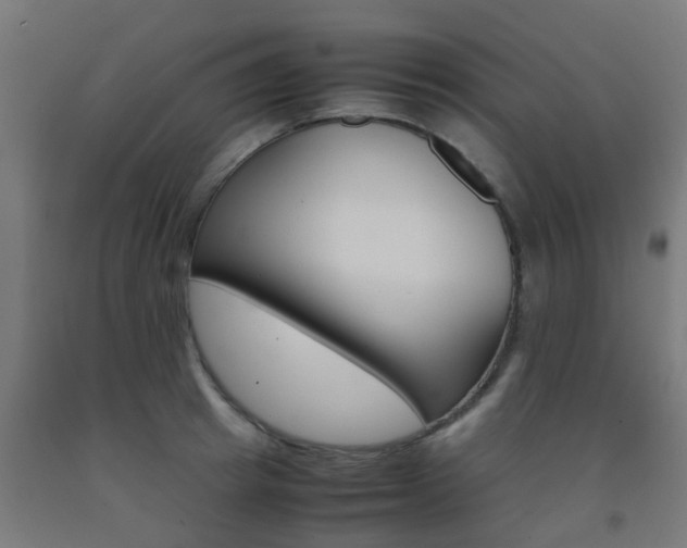 X0000093150849200709261444
