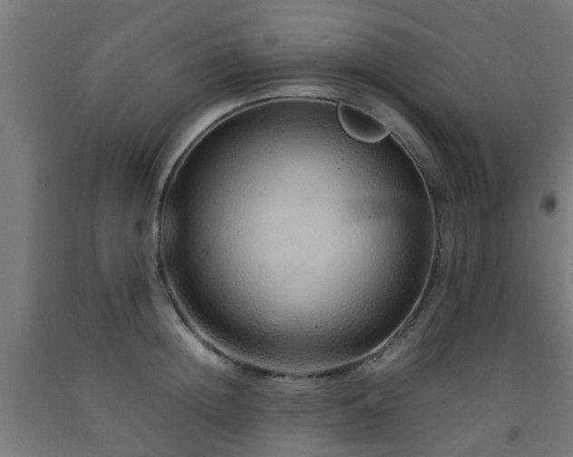 X0000093150852200709261444