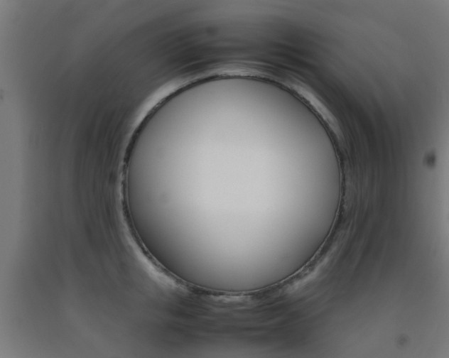 X0000093150853200709261444