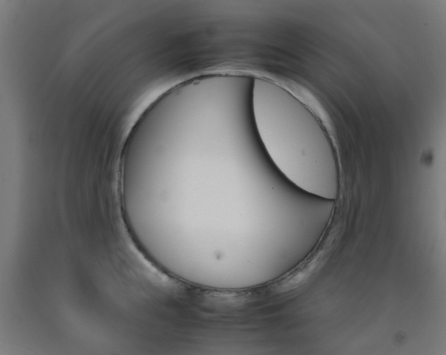 X0000093150855200709261444