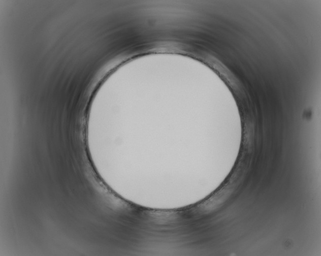 X0000093150856200709261444