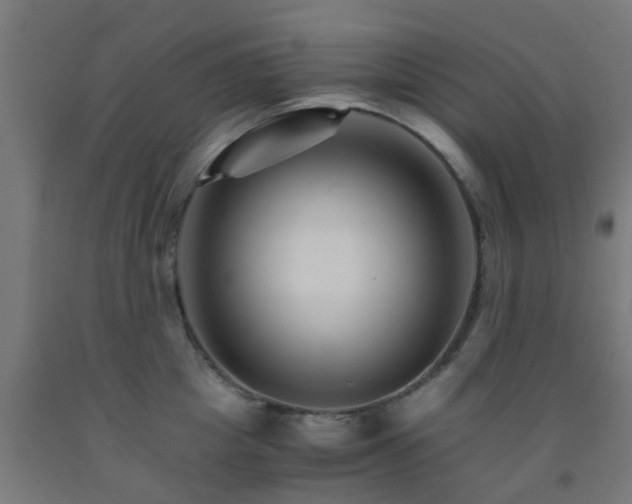 X0000093150857200709261444