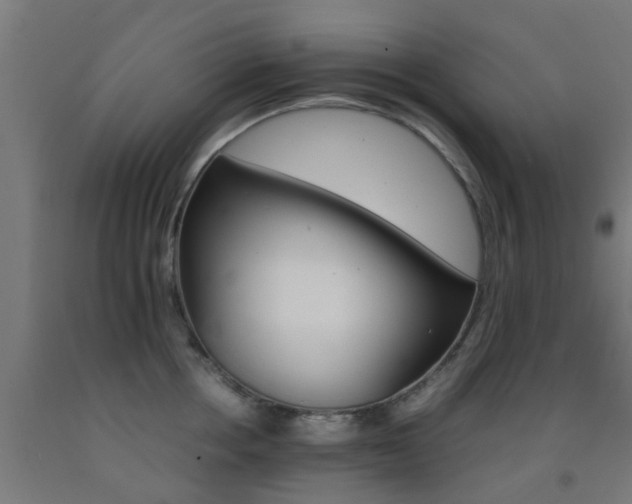 X0000093150858200709261444
