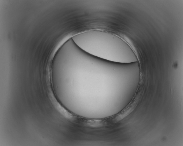 X0000093150859200709261444