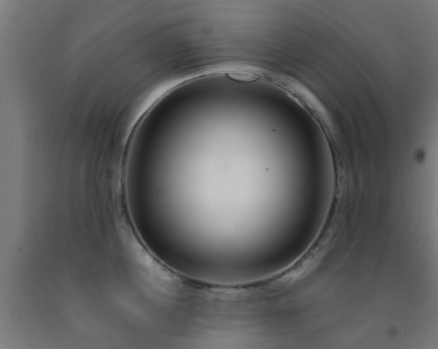 X0000093150860200709261444