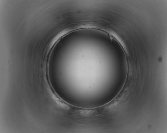 X0000093150861200709261444