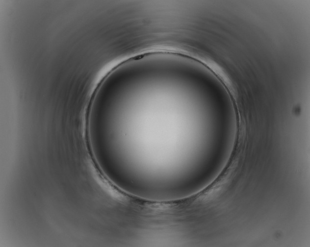 X0000093150862200709261444