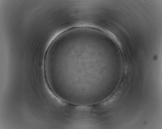 X0000093150863200709261444