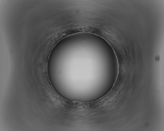X0000093150865200709261443