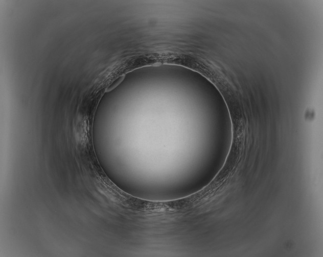 X0000093150866200709261443