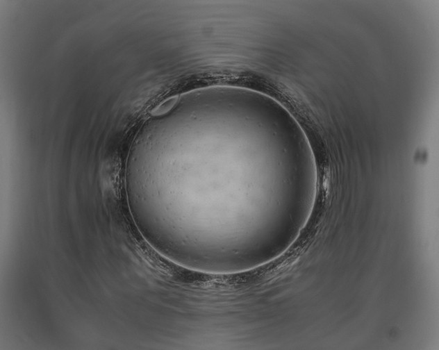 X0000093150867200709261443