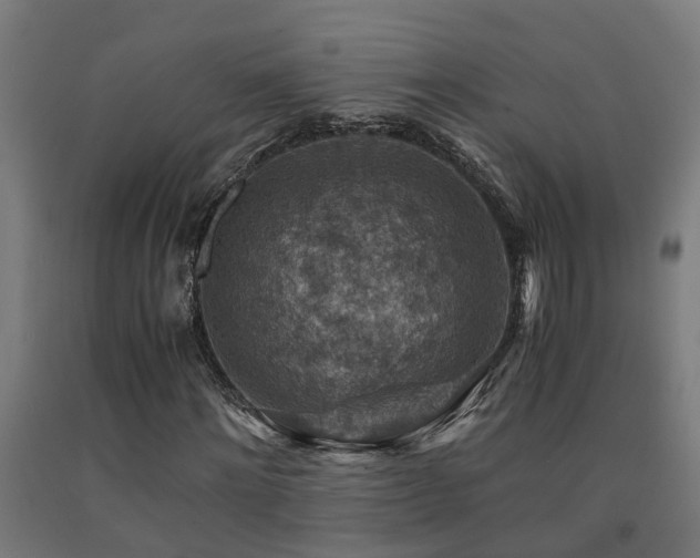 X0000093150868200709261443