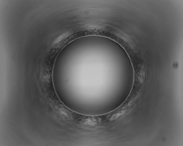 X0000093150869200709261443